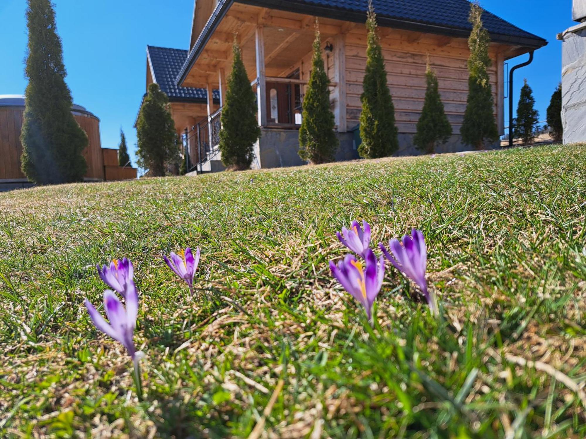 Domki Gorce Klikuszowa Sauna Jacuzzi Exterior foto